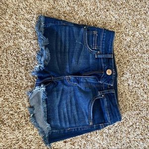 American eagle denim short shorts